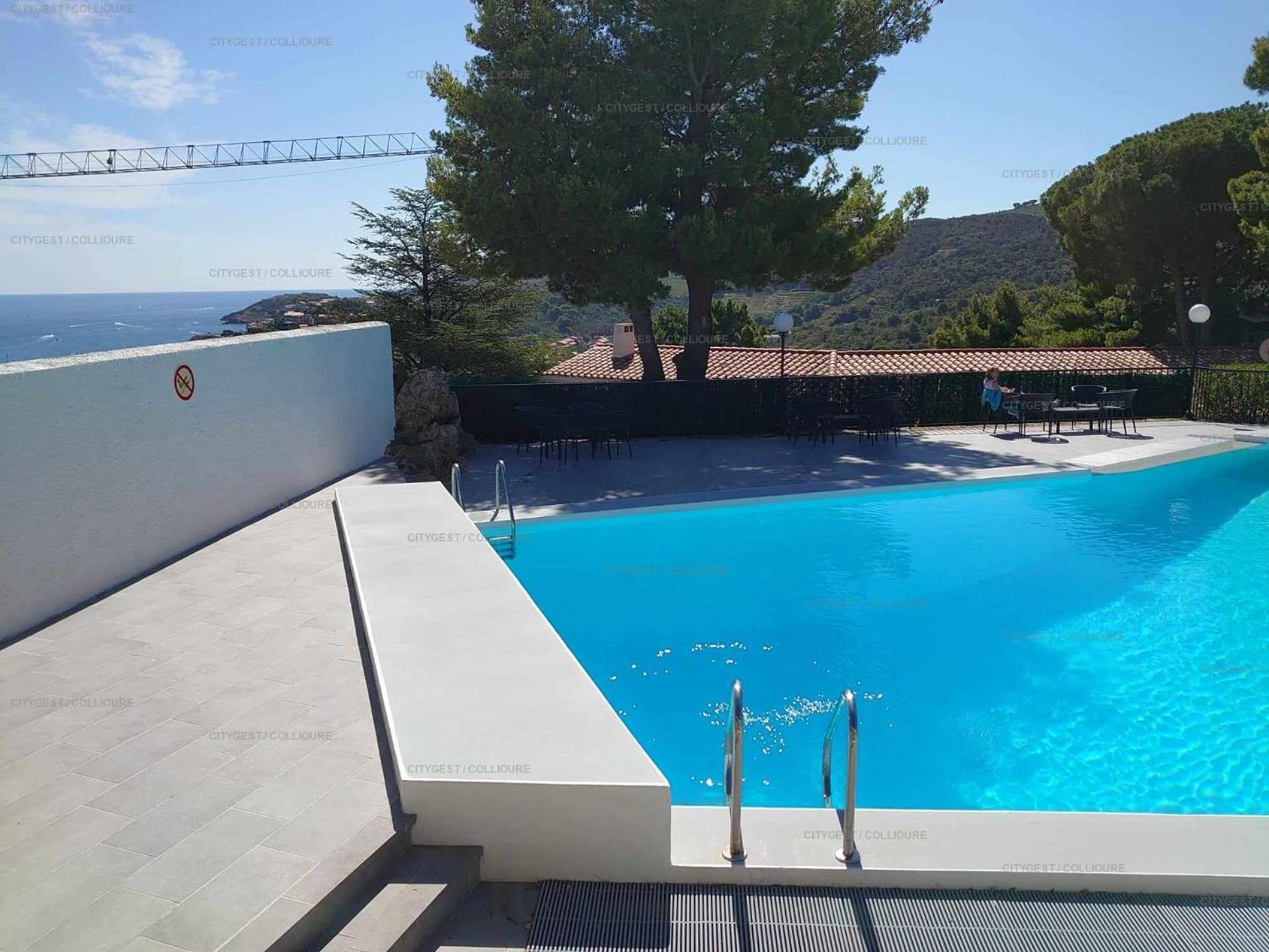 6Amb38 Villa Avec Terrasse Dans Residence Avec Piscine Commune Κολιούρ Εξωτερικό φωτογραφία